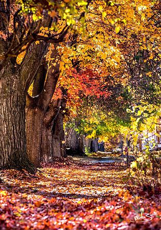 Autumn Sidewalk