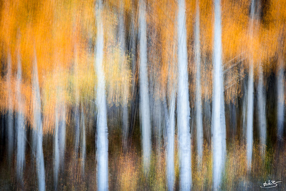 Ouray Ghosts | Ouray, Colorado