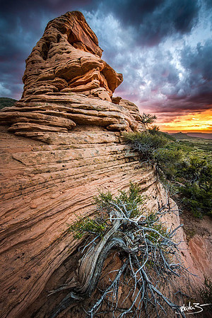 Hoodoo City | Zion National Park
